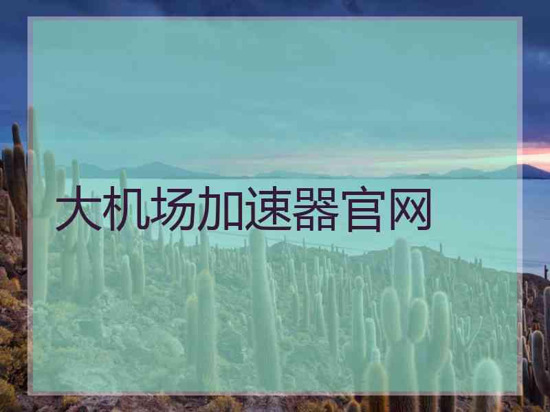 大机场加速器官网