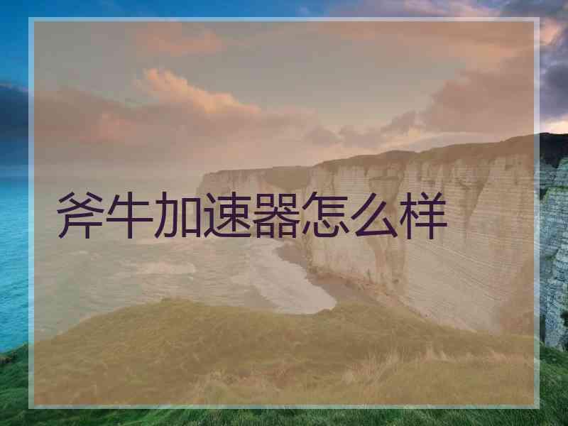 斧牛加速器怎么样