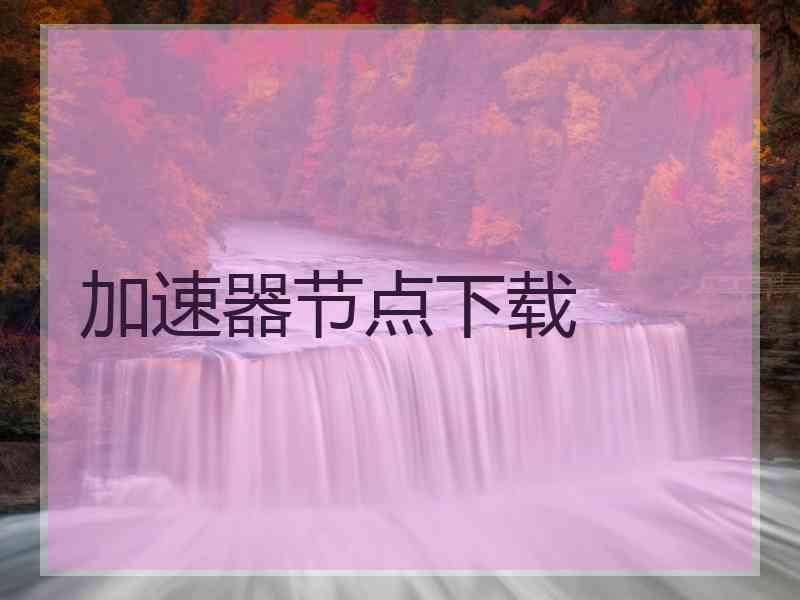 加速器节点下载