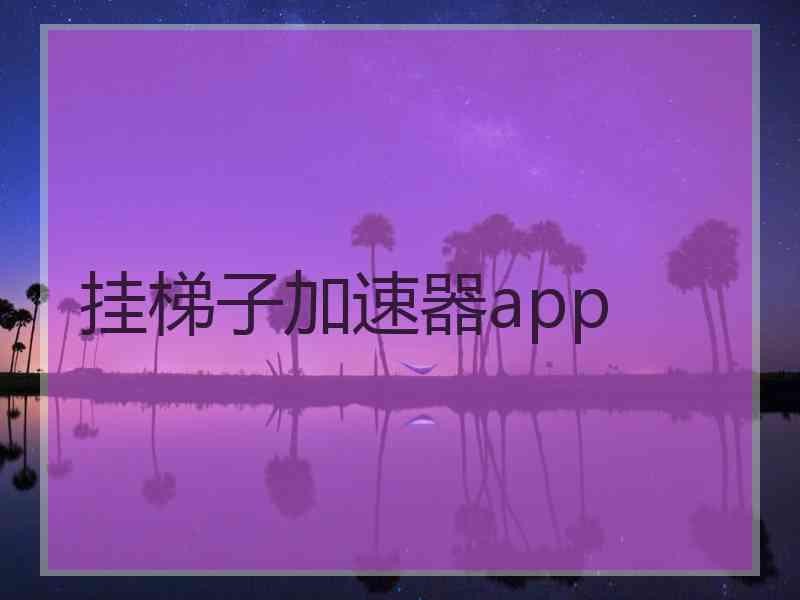 挂梯子加速器app